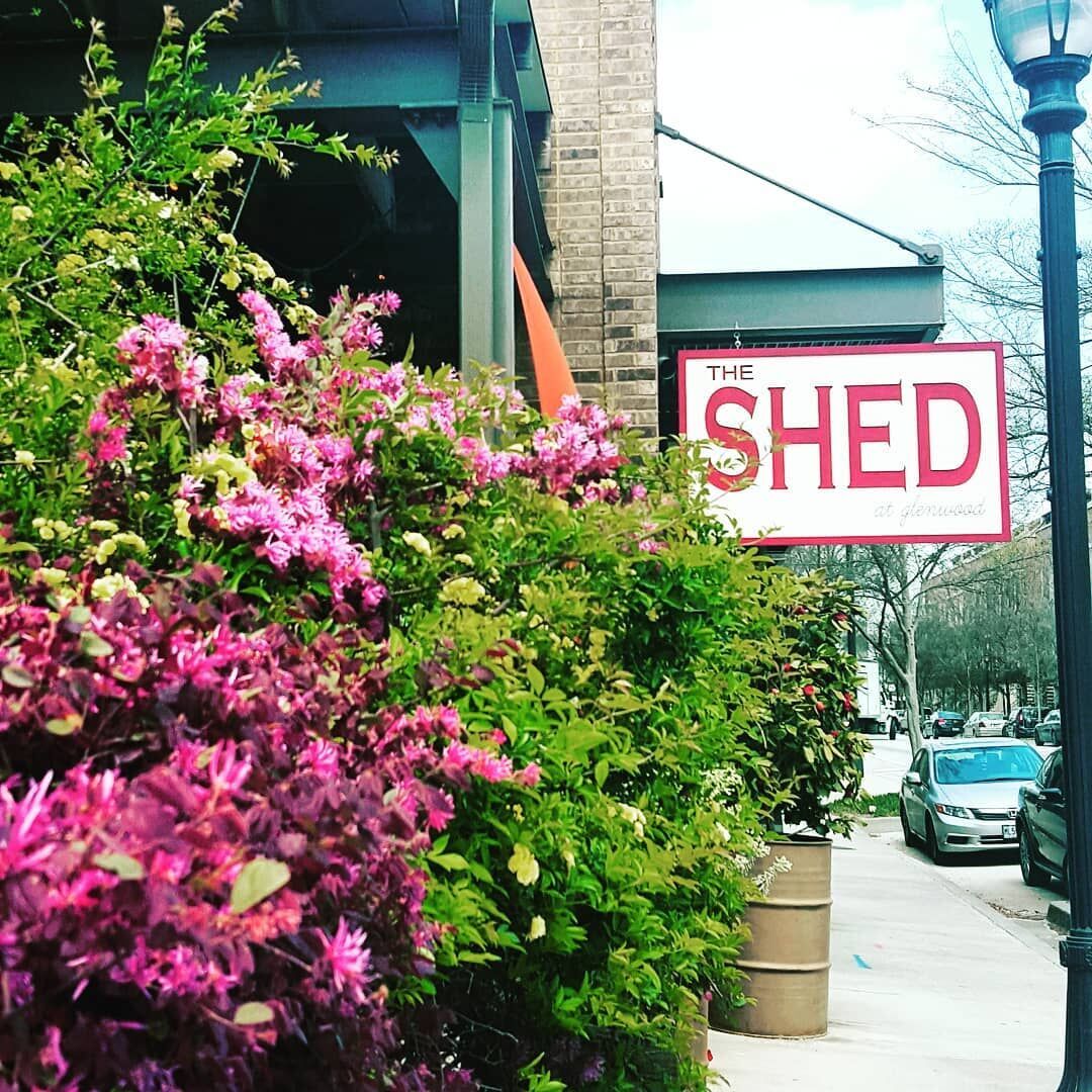 the-shed.jpg