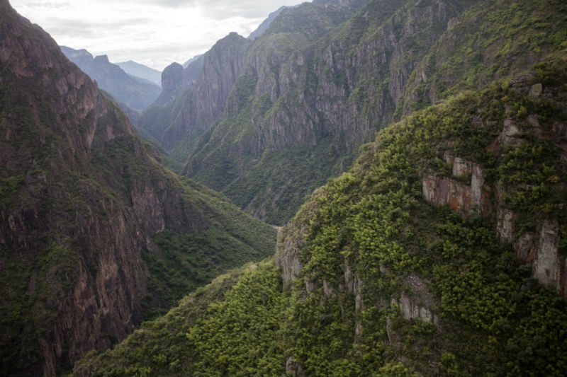 Copper Canyon.jpg