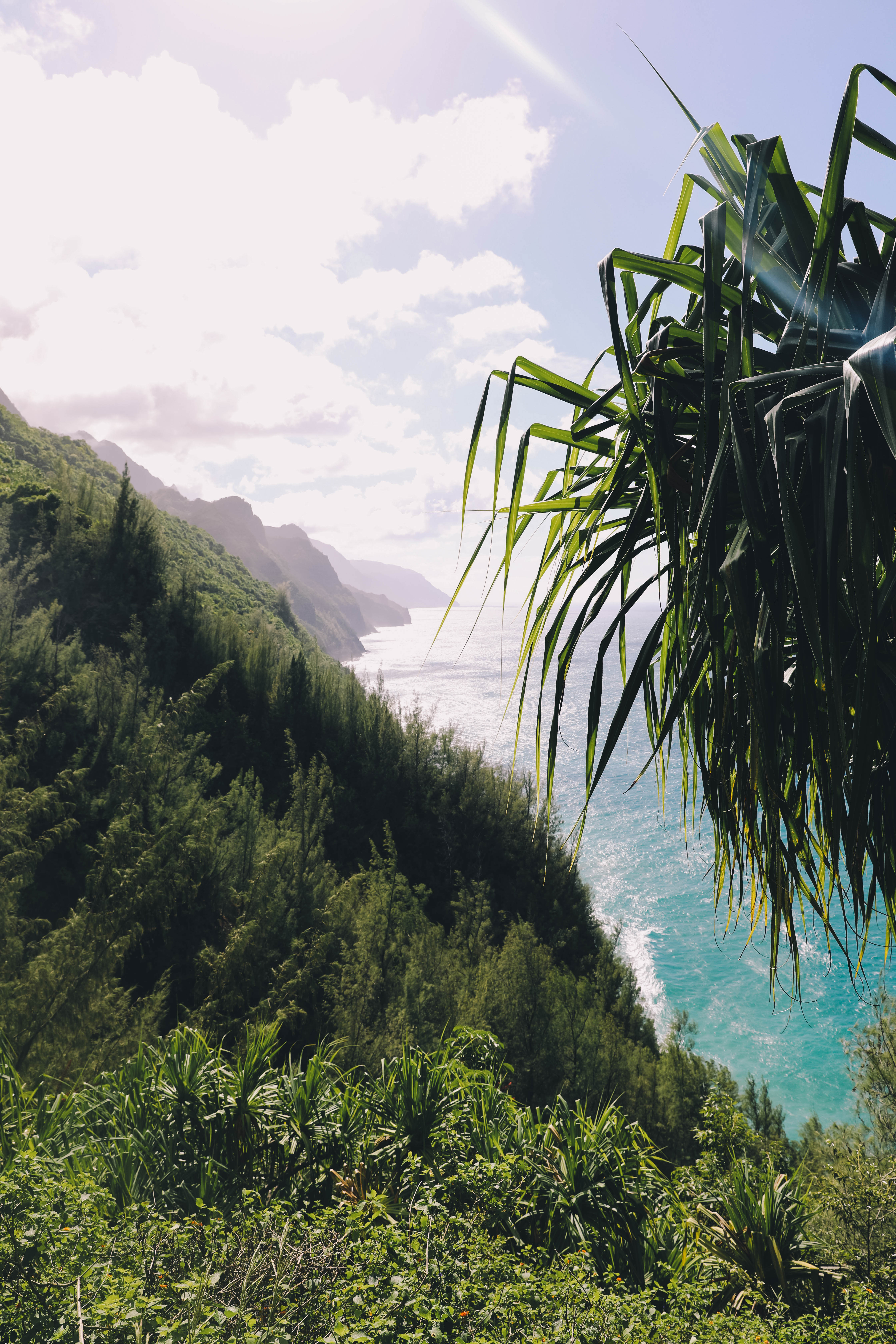 mountaintop view overlooking ocean