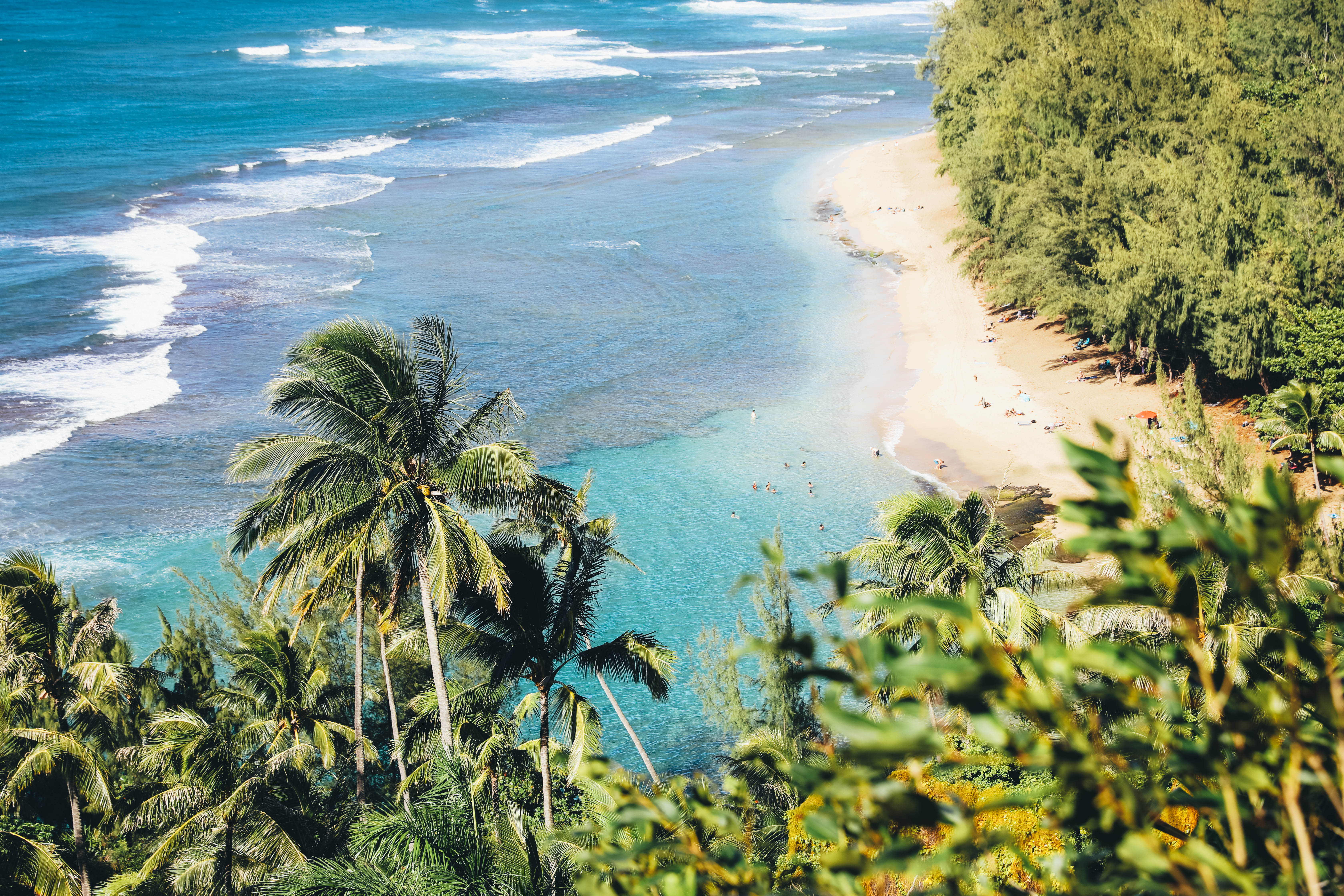 view overlooking beach and jungle