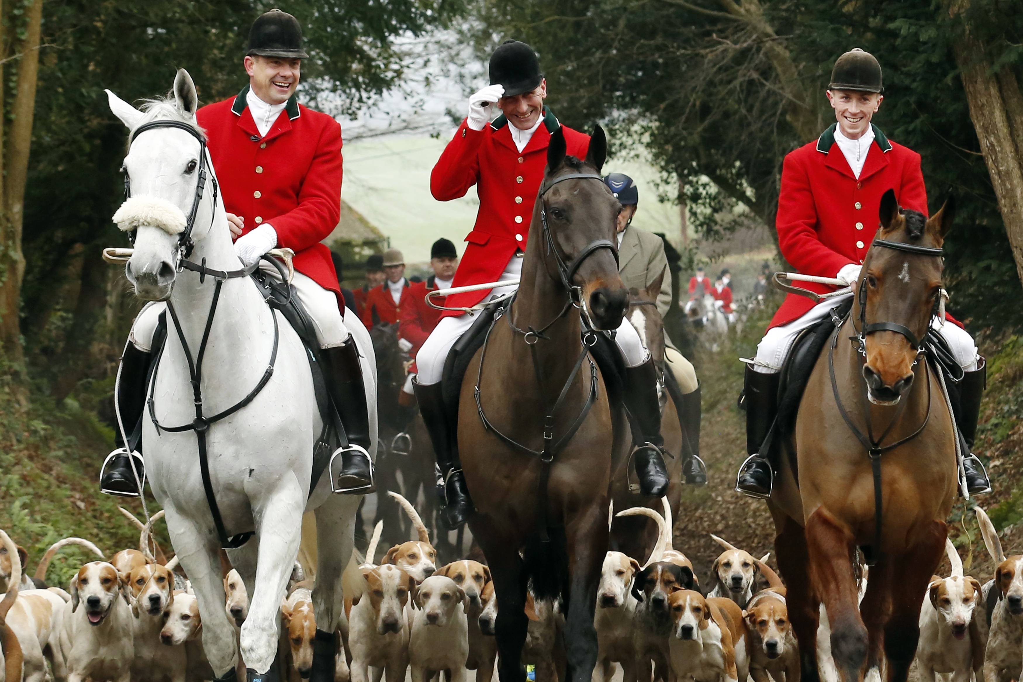 80% of Brits oppose fox hunting with hounds.
